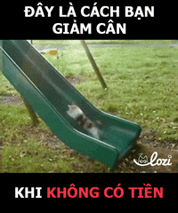 GIF by Lozi Singapore Co.