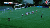 megan rapinoe celebration GIF by National Women's Soccer League