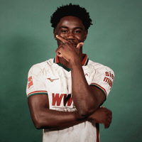 Bundesliga GIF by FC Augsburg 1907