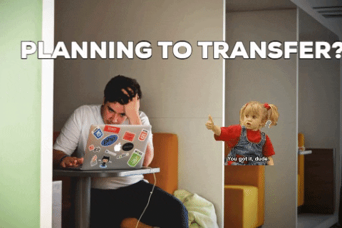 Transferable giphygifmaker giphyattribution GIF