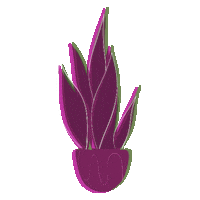 Flowers Spring Sticker