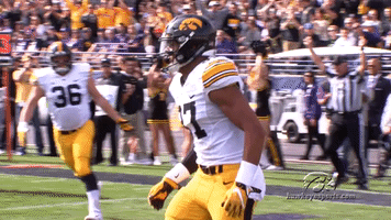 football GIF by University of Iowa Hawkeyes Athletics