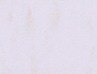 YanaBot2000 love friends yay friendship GIF