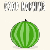 Good Morning Hello GIF by Pudgy Penguins