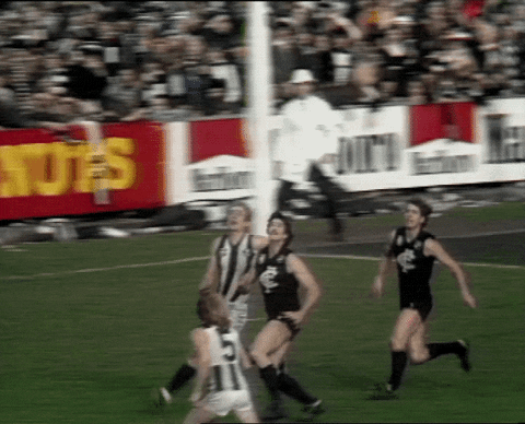 peter moore fly GIF by CollingwoodFC