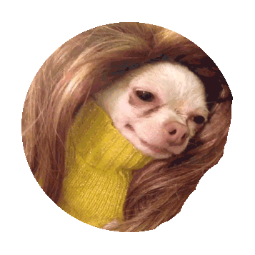 party dogs STICKER by imoji