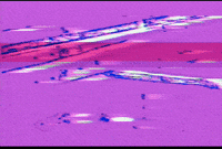 Video Art GIF by cskonopka