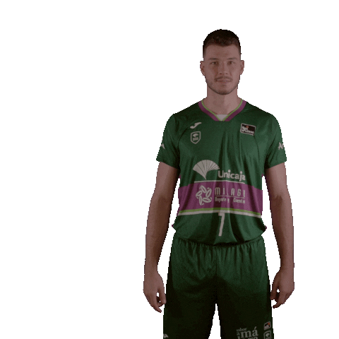 Liga Endesa Basketball Sticker by ACB
