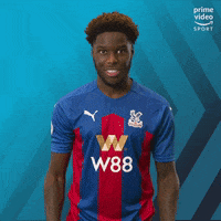 Premier League Football GIF by Prime Video