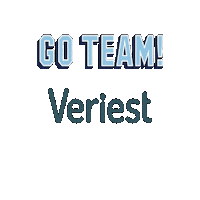 veriest design team serbia electronics Sticker