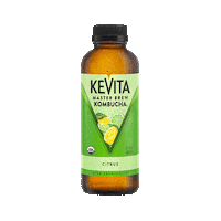 Kombucha Citrus Sticker by KeVita Drinks