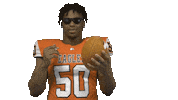 Football College Sticker by Carson-Newman Athletics