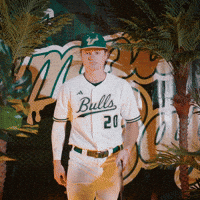 South Florida Baseball GIF by USF Athletics