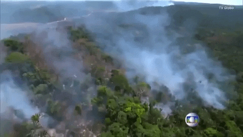 giphydvr fire brazil giphynewsinternational deforestation GIF