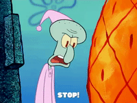 season 6 GIF by SpongeBob SquarePants