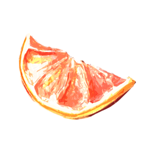 Fruit Gin Sticker by derkleinemuc