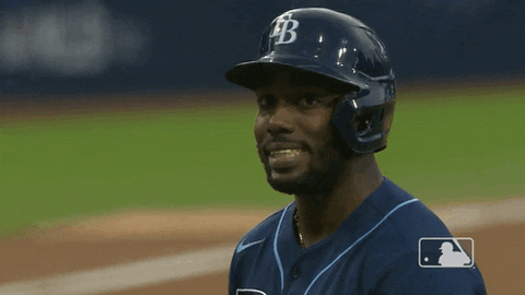 Major League Baseball GIF by MLB