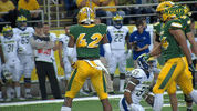 north dakota state football GIF by NDSU Athletics