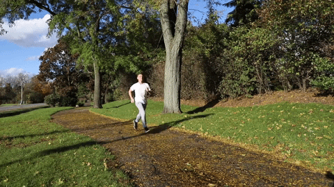 GIF by Lincolnshire-Prairie View School District 103