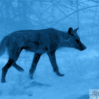 Television Snow GIF by BBC America