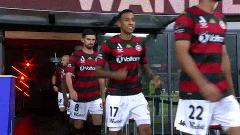 Western Sydney Wanderers Clapping GIF by wswanderersfc