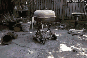 home video bbq GIF by Cheezburger