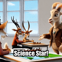 Science Project Presentation GIF by Radiantelope