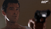 Pierce Brosnan No GIF by James Bond 007