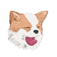 Dog Chihuahua Sticker by Cirque Colors