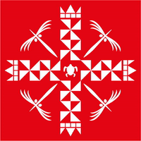 tonga #ski #team #olympia #ediundsepp GIF