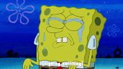 season 9 GIF by SpongeBob SquarePants