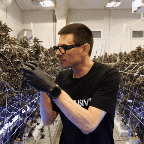 Grow Growing Pains GIF by Exclusive Brands