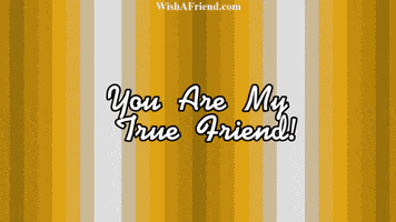 Best Friends Forever Friendship GIF by wishafriend