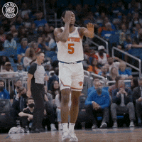 Sport Basketball GIF by New York Knicks