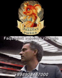Golden Fish Cafe GIF