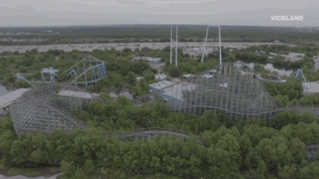 viceland GIF by ABANDONED