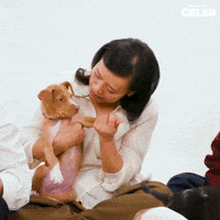 Puppy Love