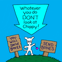 chippythedog dog dogs bones hypnotic GIF