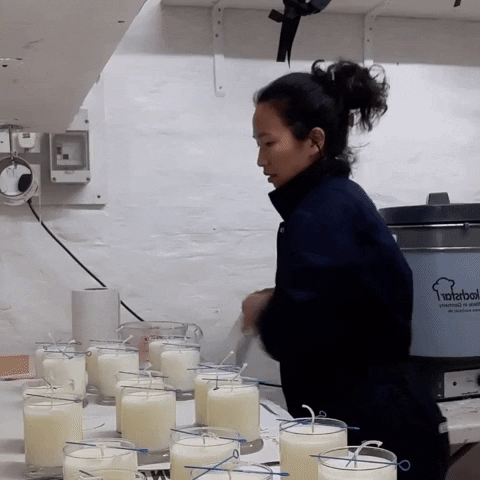 AEQUILL giphygifmaker GIF