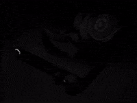 High Resolution Sound GIF by Sennheiser