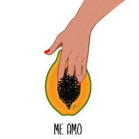 Stickers Songs Sticker