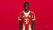 Fc Bayern Jackson GIF by Bundesliga