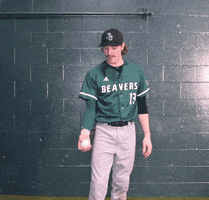 Baseball Ball Bounce GIF by Bemidji State Beavers
