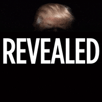 trump GIF by Simon & Schuster