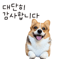 Corgi Milo Sticker
