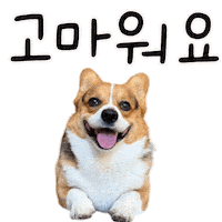Corgi Milo Sticker