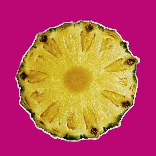 Summer Comida GIF