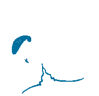 StraussFinancial berge versicherung paragliding fliegen Sticker