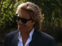 Could Be Miami Vice GIF by Goldmaster