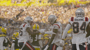 Sport Celebration GIF by New England Patriots